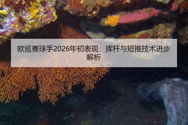 欧巡赛球手2026年初表现：挥杆与短推技术进步解析